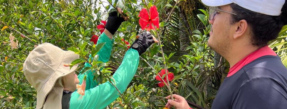 Emdagro e UFS iniciam validação das nomenclaturas das plantas ornamentais produzidas em Boquim